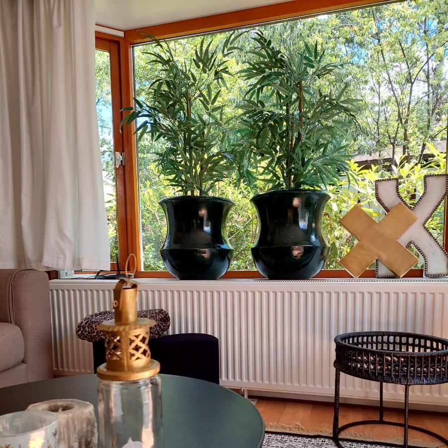Heerlijk Chalet In Prachtige Natuur. Doornspijk Extérieur photo